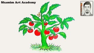 How to Draw a Tomato Tree Very Easy Drawing How to Draw a Tomato Tree Very Easy Drawing