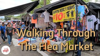 Walking Tour in The Flea Market in Colima, México
