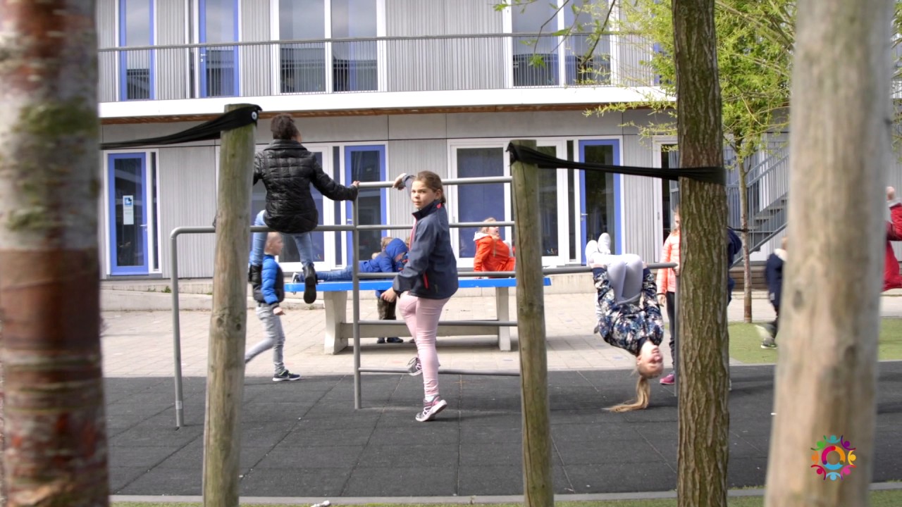 Vlinderboom in Pijnacker