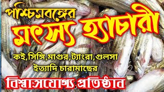 পশ্চিমবঙ্গের মৎস হ্যাচারী  II Fish Seeds Hatchery In West Bengal