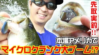 【夏・多根ダム】釣れ過ぎの神回、本場アメリカでマイクロクランクが大ブーム！？【吉本一磨】
