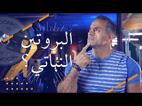 هل يا ترى البروتين النباتي مفيد لبناء العضلات متل البروتين الحيواني
