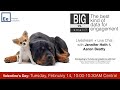 LiveStream--Big vs Small: The Best Data for Engagements