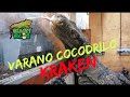 Conociendo a kraken uno de los varanos mas grandes del mundo