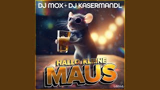 Hallo kleine Maus