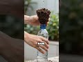 DIY Self-Watering Garden Hack from Recycled Items