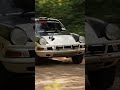 It's a good day to run a rally car through the woods.