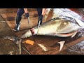Masterful bluefin tuna cutting  watch the experts at work