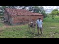 UMA PALESTRA COM SEU JOÃO BARBOSA NA ANTIGA CASA DE FARINHA EM CACHOEIRINHA, MIRANDIBA PERNAMBUCO.