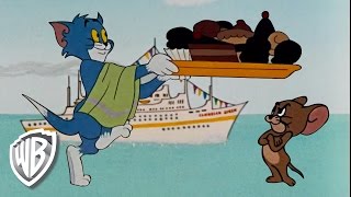 Tom & Jerry | Calypso Cat