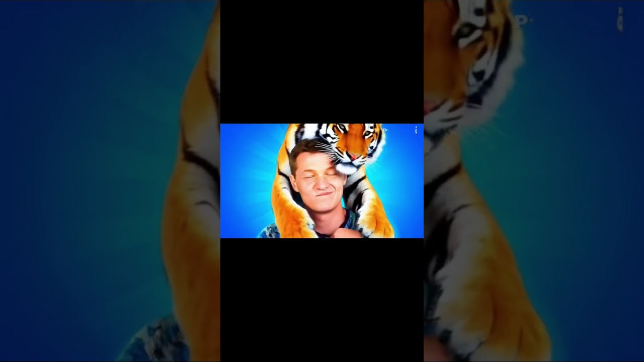 Тигриный взрыв... 