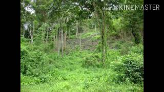 យនសរន ភនពរវហរ Yensaren Basark