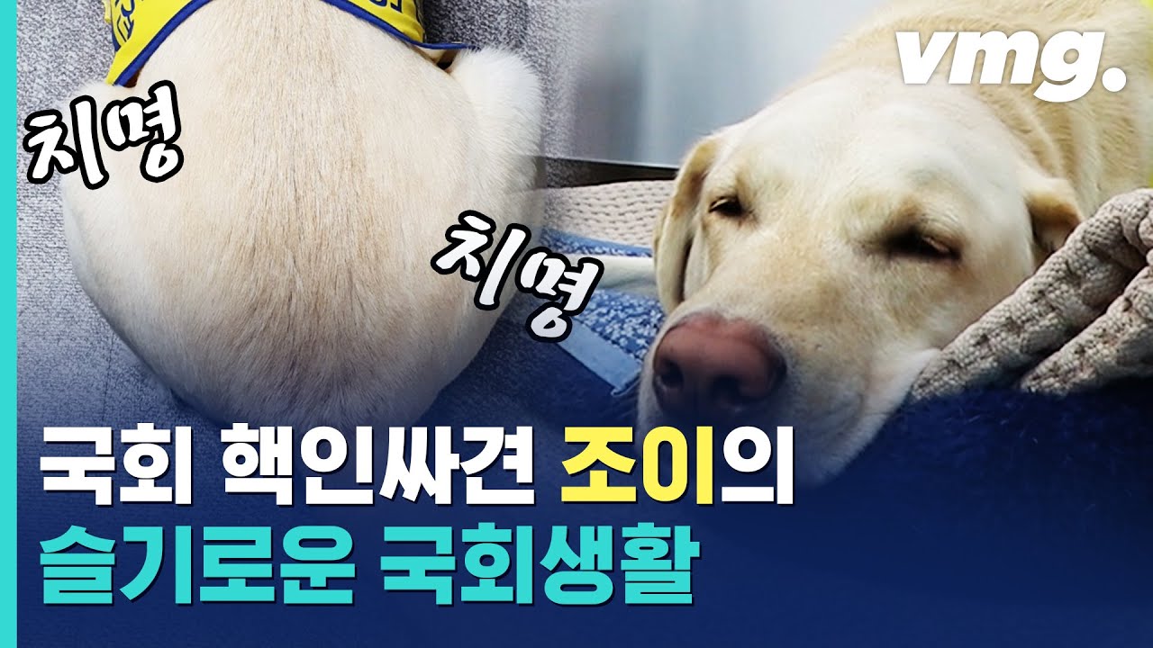 슈퍼스타 '조이'도 출입 거부를 당했다?...