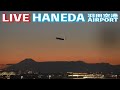 🔶📡[LIVE] '25/2/25 羽田空港 T1 Haneda International Airport plane spotting