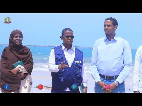 Iskaashatooyinka Kaluumaysiga Dowlad Jubaland Oo Lugu Wareejiyey Doonyo Yar Yar Nooca Kaluumaysiga