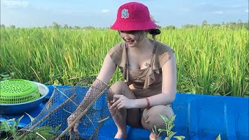 Dọn luồng rau muống đặt bẫy bắt cá bầy và cái kết #397 | Catch fish under the water spinach ditch