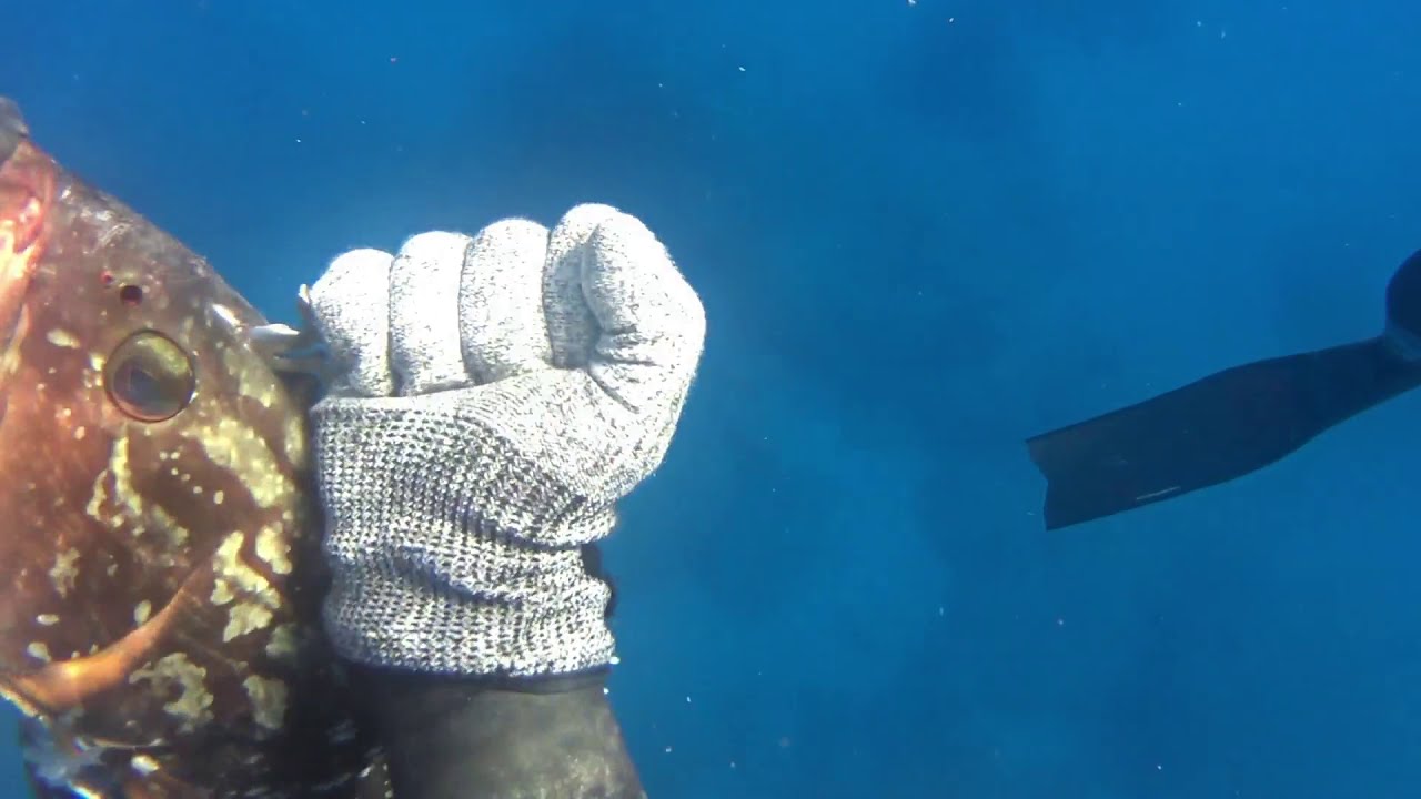 spearfishing in Cyprusψαροντούφεκο στην Κύπρο.(Rafaellos Petrou) YouTube