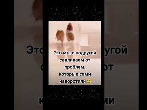 #шуточное #юмор #смехпродлеваетжизнь