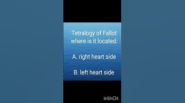 "Stay Ahead with These Expected Saudi Prometric Exam Questions and Answers – Your Guide to Success!"