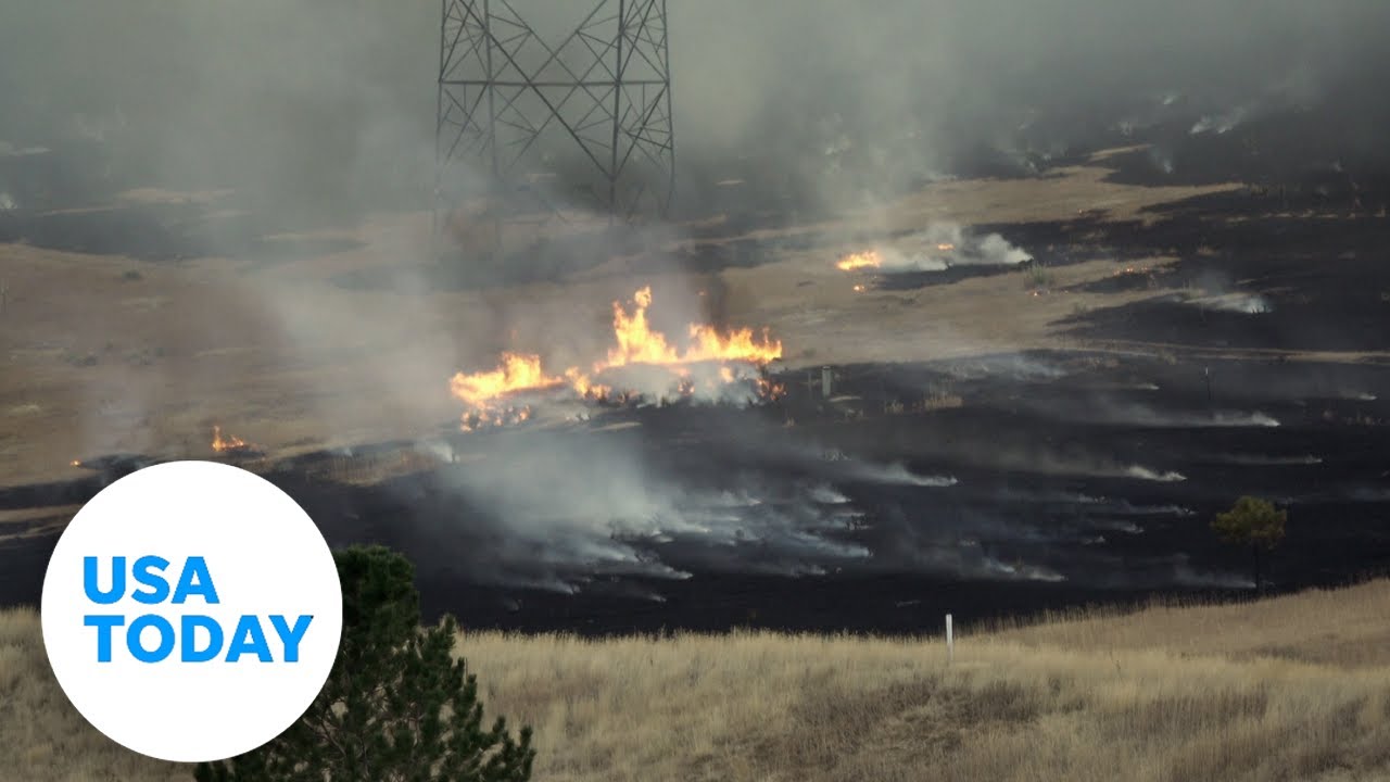 Experts urge for climate emergency declaration as temperatures soar | USA TODAY