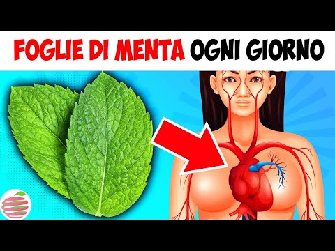 14 IMPORTANTI Motivi