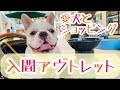 【愛犬と一緒に買い物】三井アウトレットパーク入間に行ってきた！①【フレブル/フレンチブルドッグ】