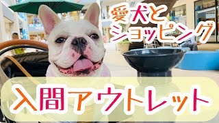 【愛犬と一緒に買い物】三井アウトレットパーク入間に行ってきた！①【フレブル/フレンチブルドッグ】