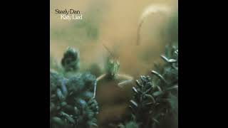 Steely Dan ~ Daddy Don&#39;t Live In That New York City No More ~ Katy Lied  (HQ Audio)