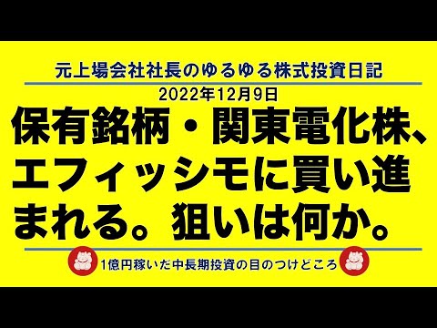 保有銘柄・関東電化株、エフィッシモに買い進まれる。狙いは何か。