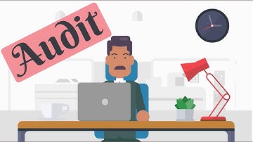Audit - Explained in Simple Animation (Hindi)