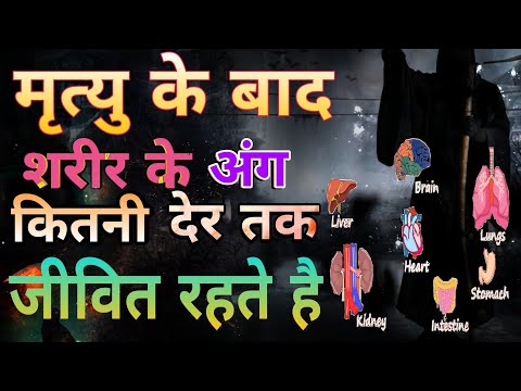 वीडियो: कौन सा कीट सबसे अधिक समय तक जीवित रहता है?