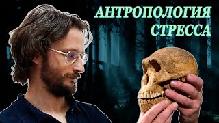 картинка: Антропология стресса - Станислав Дробышевский