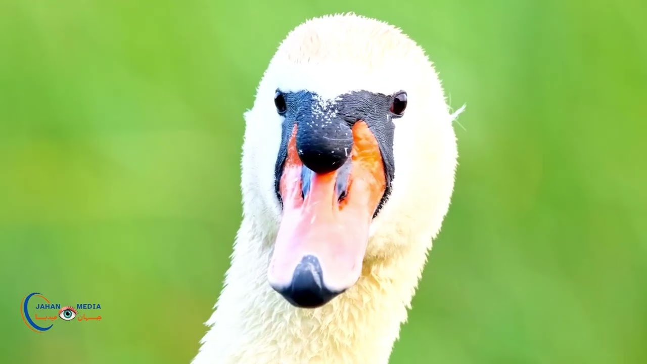 Nature with amazing views and most relaxing music