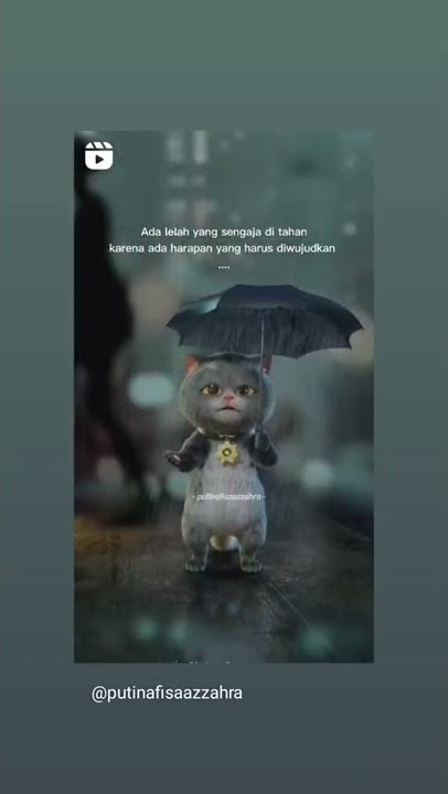 assalamu'alaikum 🙏🙏🤣🤣