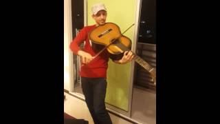 Famous La Violitarra o Guitalin Profile