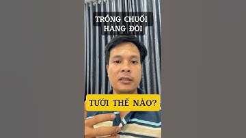 Béc tưới chuối cho mô hình mới nhất hiện nay