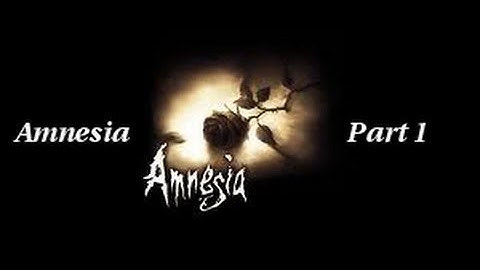 Amnesia Part 1: I BROKE IT!!