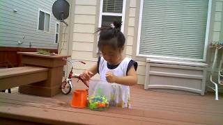VID00238.AVI