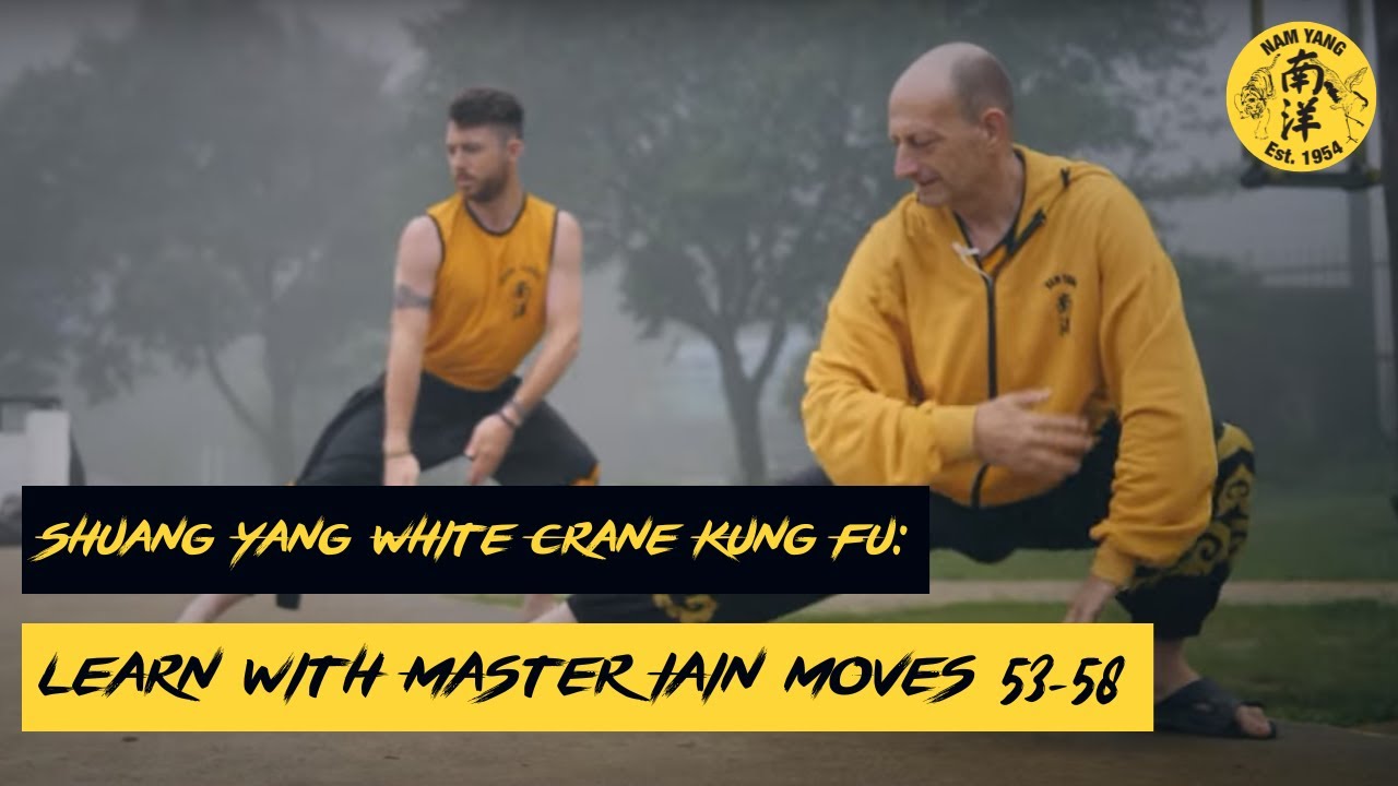 Shuang Yang White Crane Kung Fu: Learn with Master Iain moves 53-58.
