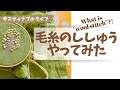 毛糸のししゅう Wool Stitch に初チャレンジ！