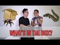 singaporeans try whats in the box? feat sezairi ep 56