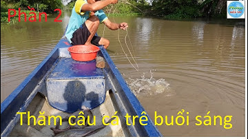 737 | Giăng câu mồi trùng dính cá thấy mê P2 | Fishing