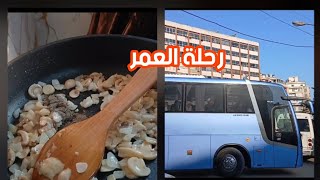 ستروغونوف الدجاج ورحلة العمر