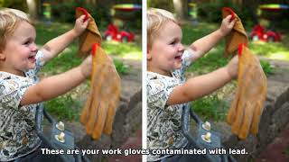 Lead Prevention - Glove
