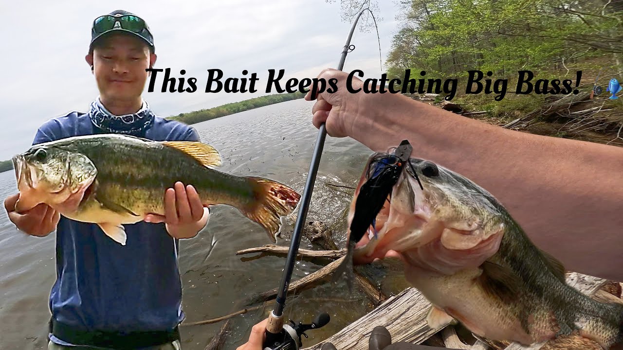 This Bait Keeps Catching Big Bass! 🎣