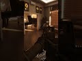 #6 SWAT 突入 特殊部隊 #readyornot #pcgaming #fps #specialforces #fyp #Shorts