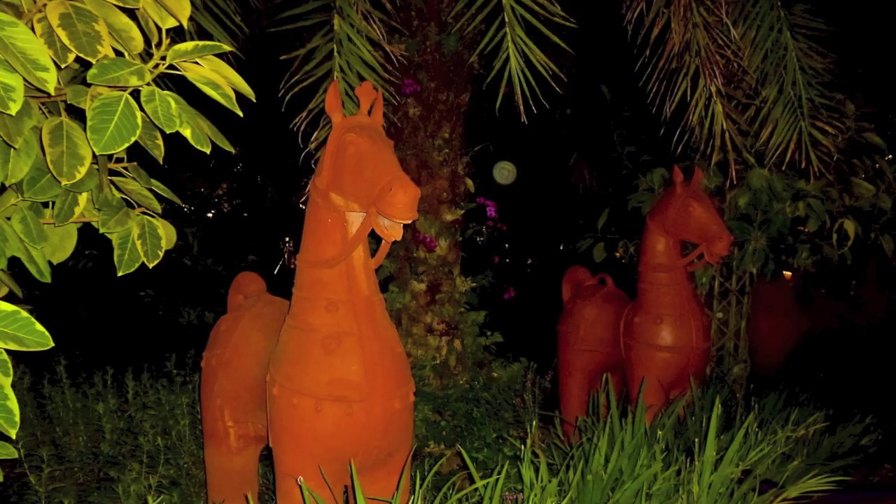 'Gardens by the Bay' at Night