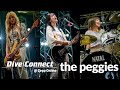 the peggies live Stand by me