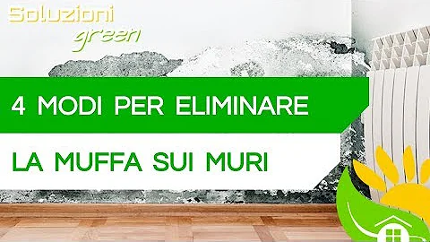 Come capire la causa della muffa?