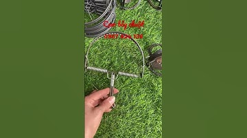 Cạm bẫy chuột giá rẻ lh